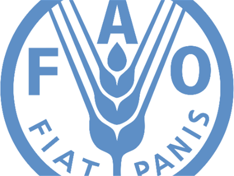 Announcement for Veterinary Internship at FAO Vietnam