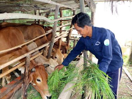 Are COVID-19 and other emerging infectious diseases a message from Mother Nature? —Leading Vietnamese media outlet interviews two of Vietnam’s Ecohealth experts