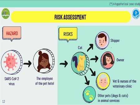 The Third One Health Biorisk Management case-based learning, Veterinary contribution to COVID-19 from a Biorisk Management (BRM) One Health Perspective