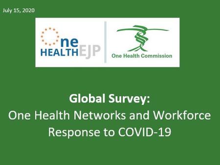 One Health Networks and Workforce Response to COVID-19 – Survey