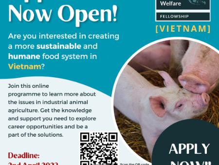 Announcing the Southeast Asia Farm Animal Welfare Fellowship (Vietnam)